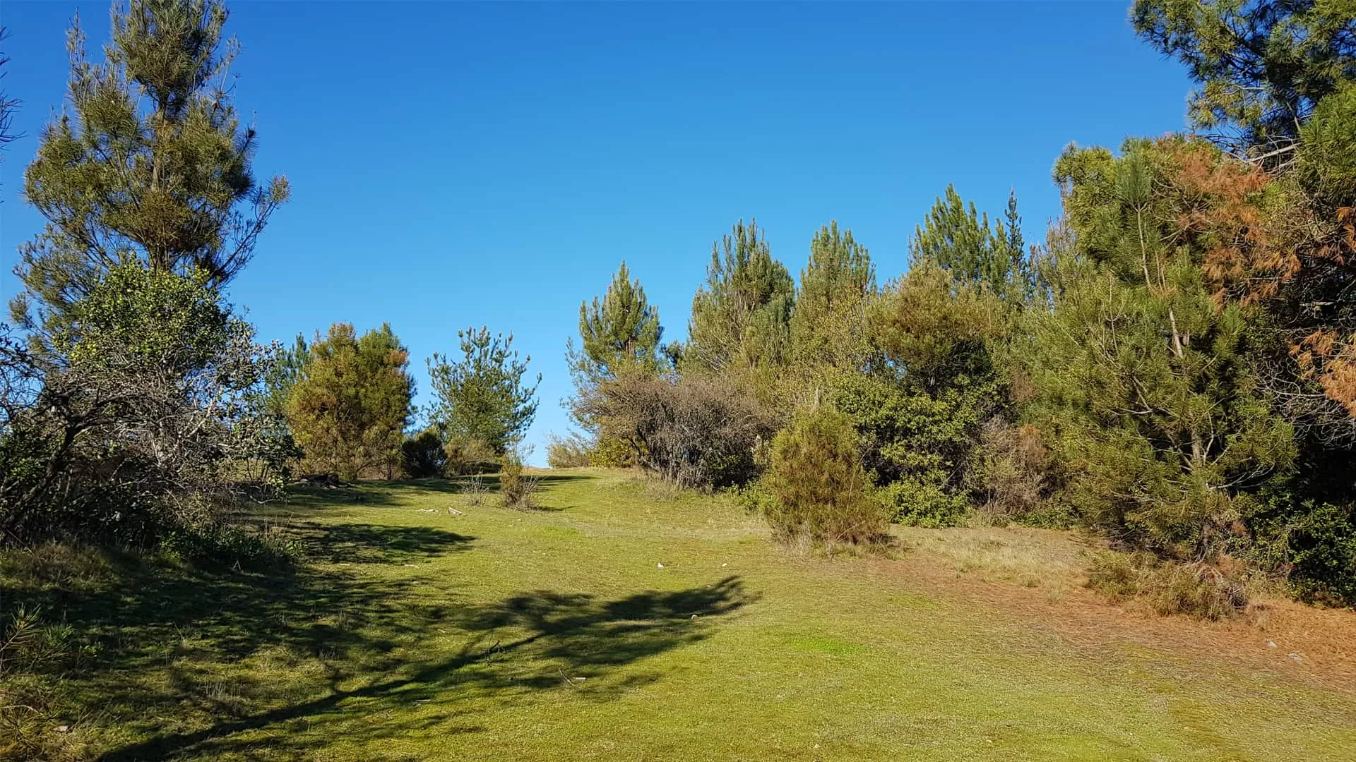 Raíces en Larqui terrenos en venta